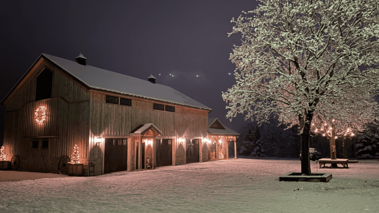 A Guide On How To Treat Outdoor Timber